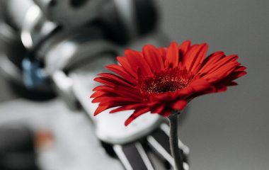 Santé : l’intelligence artificielle a-t-elle du nez ?