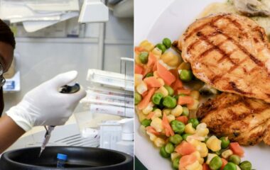 Agriculture cellulaire : propulser la recherche et l’innovation au Québec